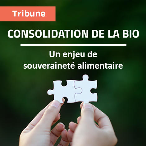 Tribune : Consolidation de la bio, un enjeu de souveraineté alimentaire